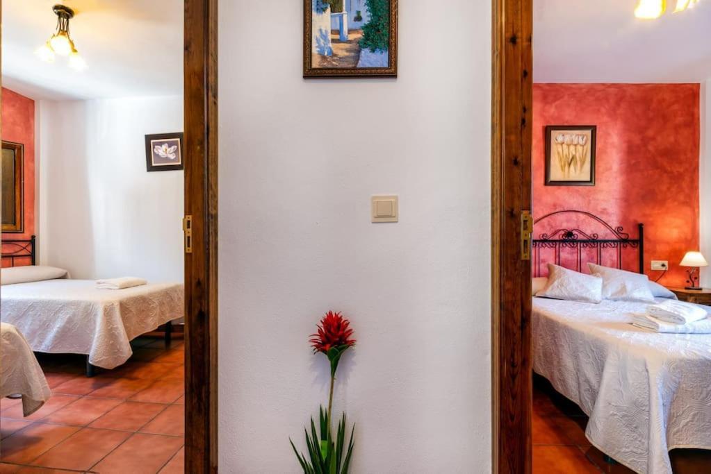Casa Jose Capileira - Alpujarra Apartment Ngoại thất bức ảnh